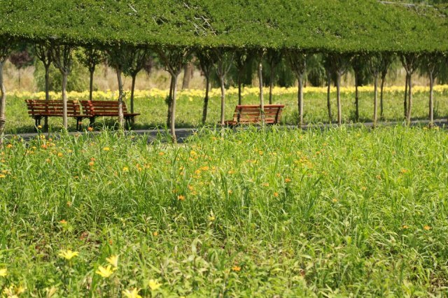 醉美西湖观光游乐园