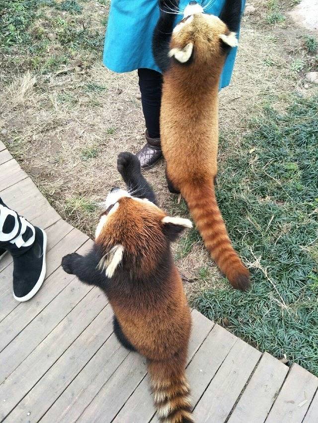 仙芝竹尖生态园