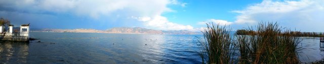 洱海鱼鹰驯化表演基地