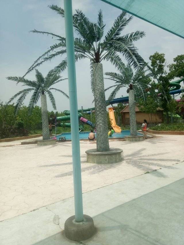 阳光海岸水世界