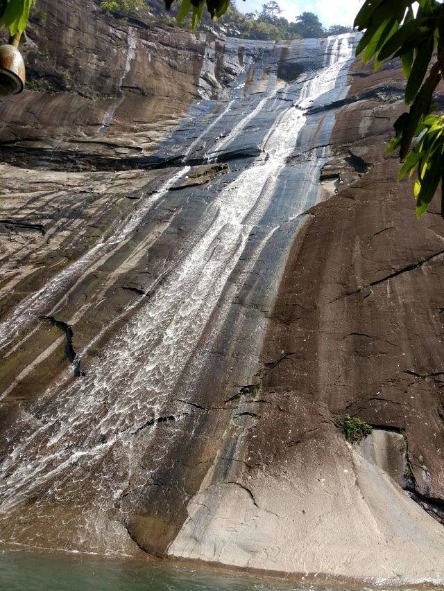 昆山市城市生态森林公园