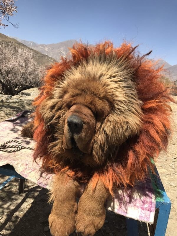 西洞庭湖湿地保护区