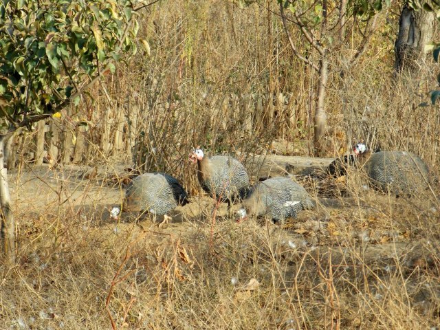 长白岛森林公园