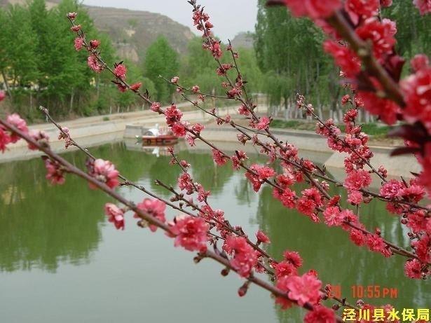 田家沟生态风景区