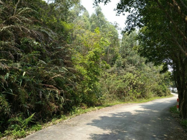 九道谷漂流风景旅游度假区