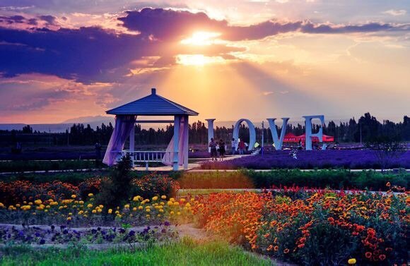 汉家公主薰衣草园