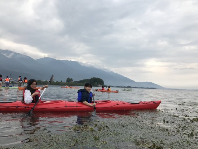 洱海鱼鹰驯化表演基地