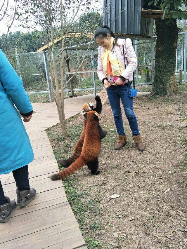 仙芝竹尖生态园