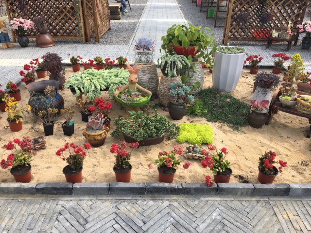 未来农林大世界