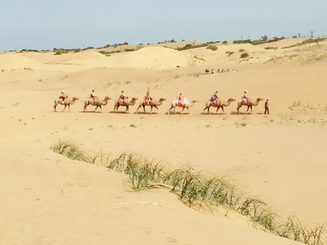 银肯塔拉沙漠生态文化旅游区