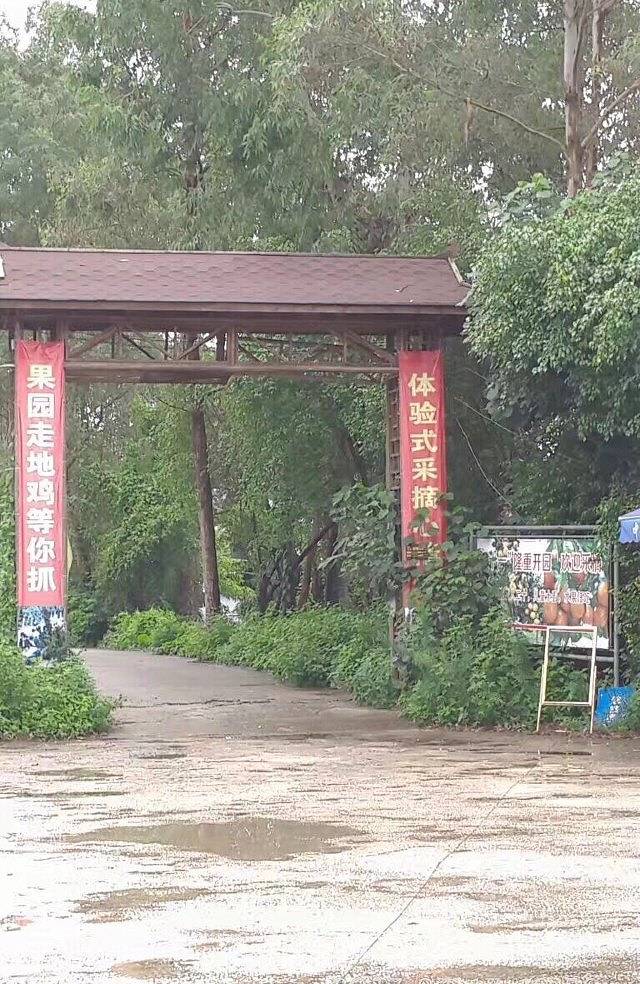 珠海一棵树休闲农庄