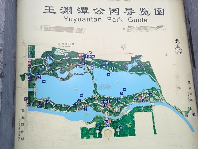 春天是赏樱的好去处,桃花,海棠,郁金香也开得很美