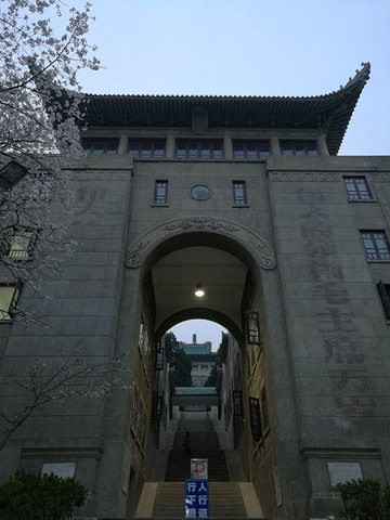行政楼等一大批民国古建筑掩映在灿烂的樱花中,美不胜收_武汉大学&