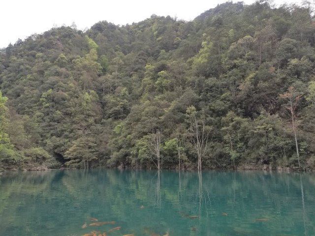 武夷山泰平洋水上广场