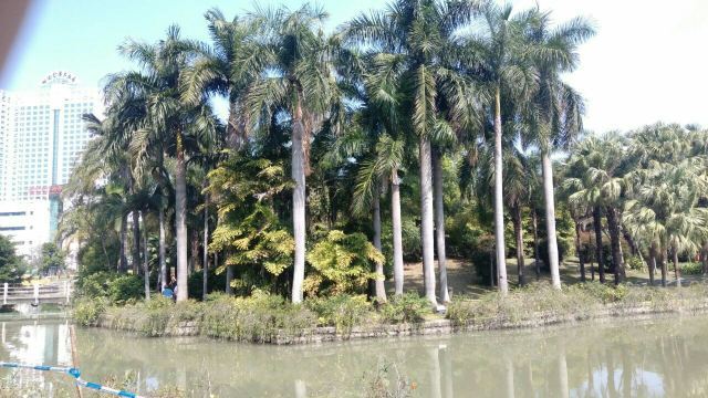 明谷行馆·温泉体验