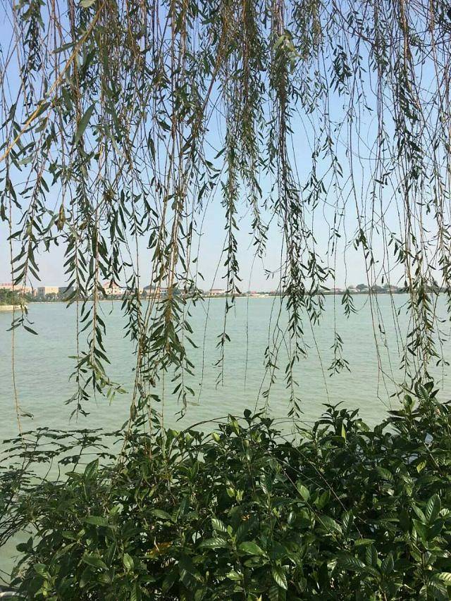 千龙湖生态旅游度假区