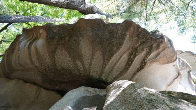 小兴安岭国家地质公园(桃山园区)