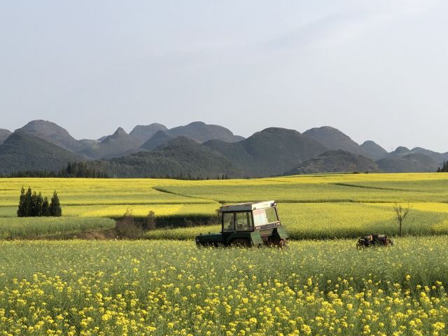 罗平航空露营地