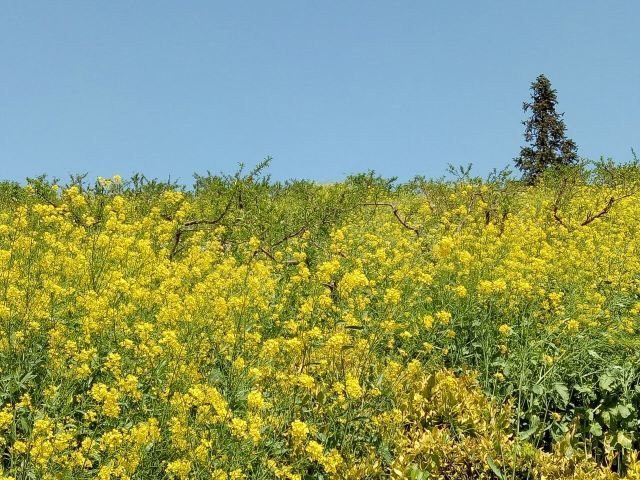 长兴城山沟景区