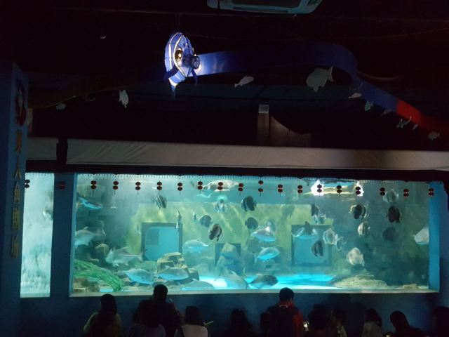 蚌埠海贝海洋乐园