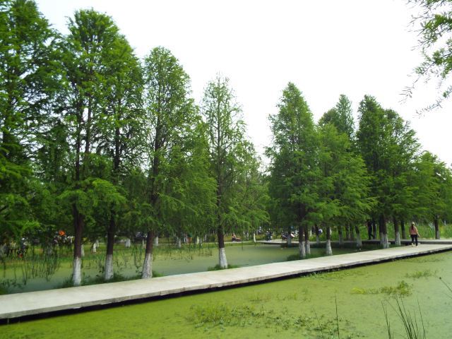 湘家荡月亮湾沙滩