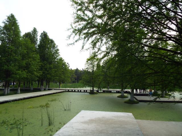 湘家荡月亮湾沙滩