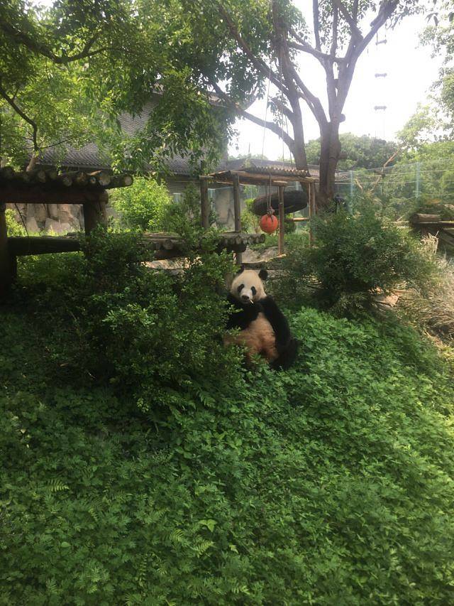仙芝竹尖生态园