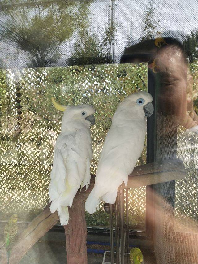 爱保野生动物世界