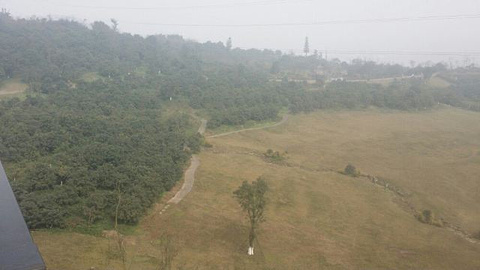 张坝桂圆林旅游景点攻略图
