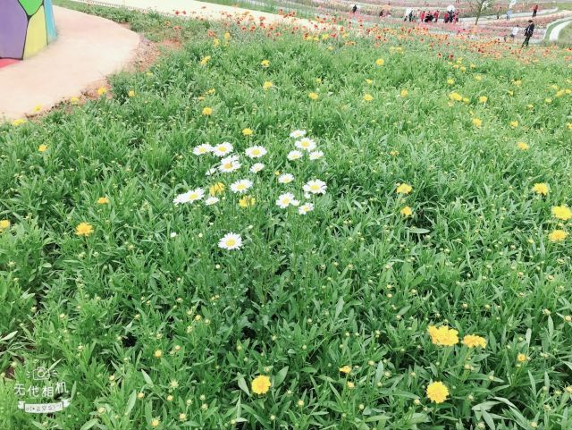 上金贝旅游景区