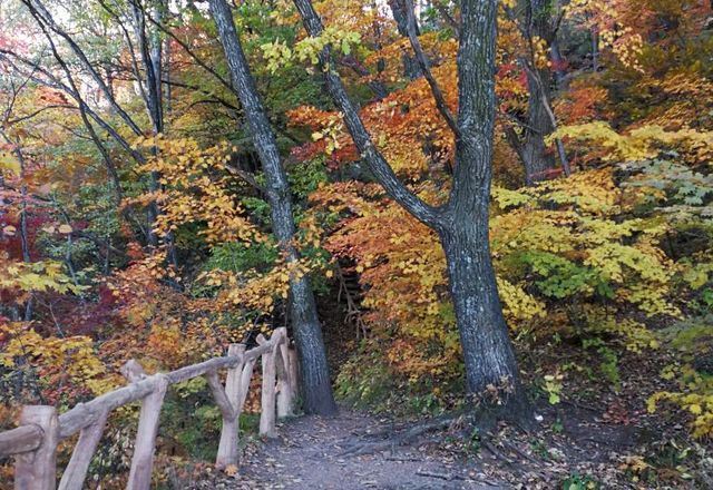 鸡冠山国家森林公园