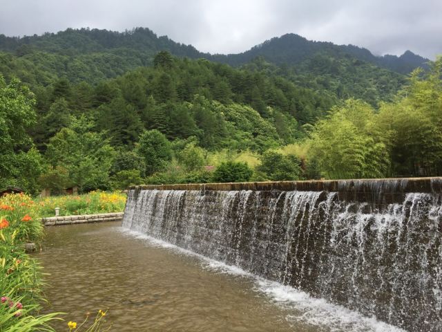 上坝河国家森林公园