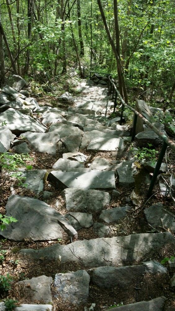 白鸡峰国家森林公园