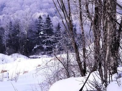 玉泉威虎山森林公园