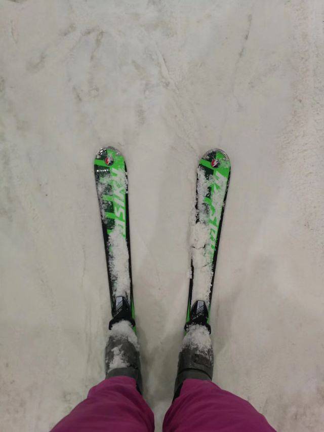 三只熊冰雪王国