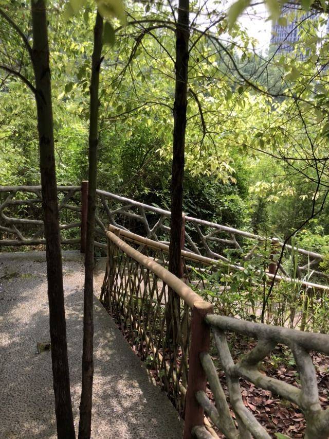 中国黔江城市大峡谷