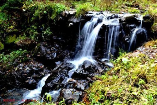 玉泉威虎山森林公园