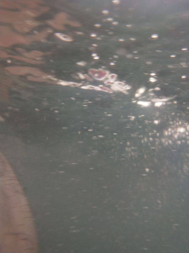 广西柳州凤凰河高尔夫球场