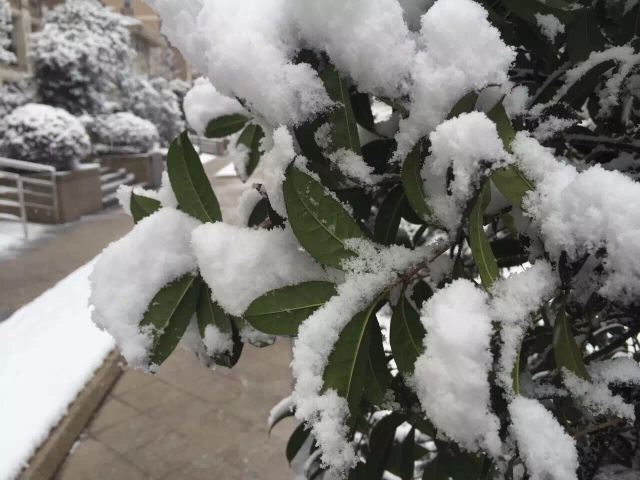 音乐水世界水乐方