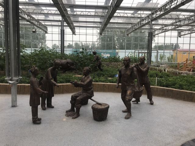 莘县中原现代农业嘉年华