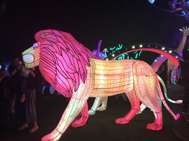 朝阳公园-方舟湖