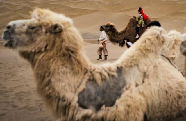 库木塔格沙漠景区-沙山公园