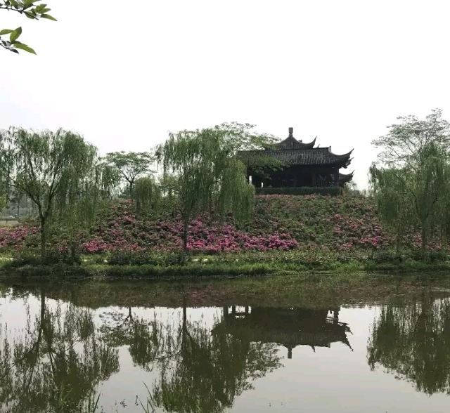 扬州芍药园
