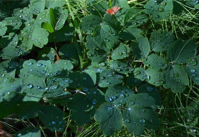 五大连池风景区-龙门石寨景区