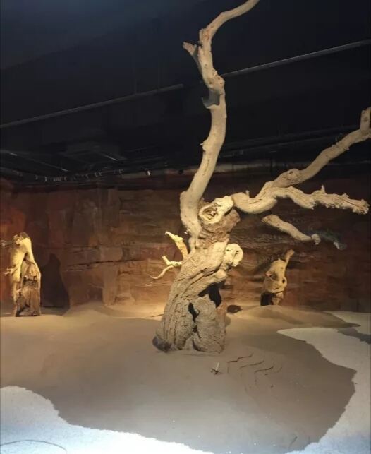 上海木文化博物馆