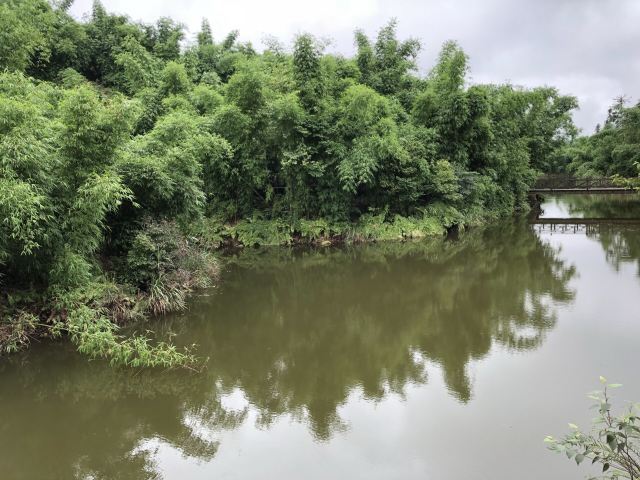 沐川竹海旅游景区