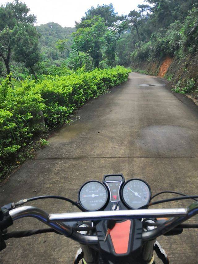 泰康山生态旅游区