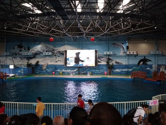 扬州极地海洋世界萌宠乐园