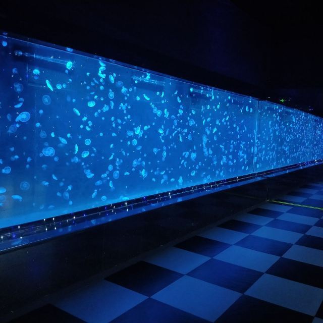 南海洋水母王国