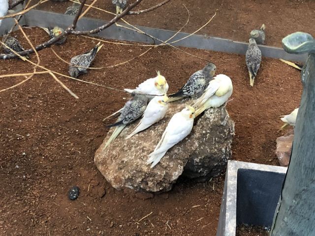 天津zoonly动物主题公园